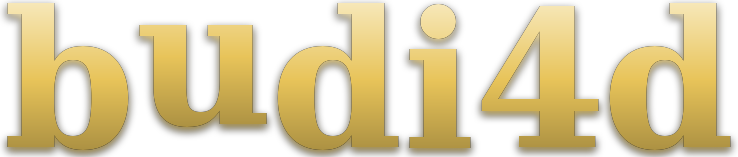 budi4d logo